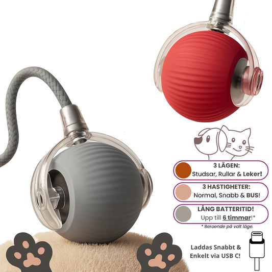 Elektrisk Interaktiv Boll för Hund & Katt – Laddningsbar med Rörelse & Ljud
